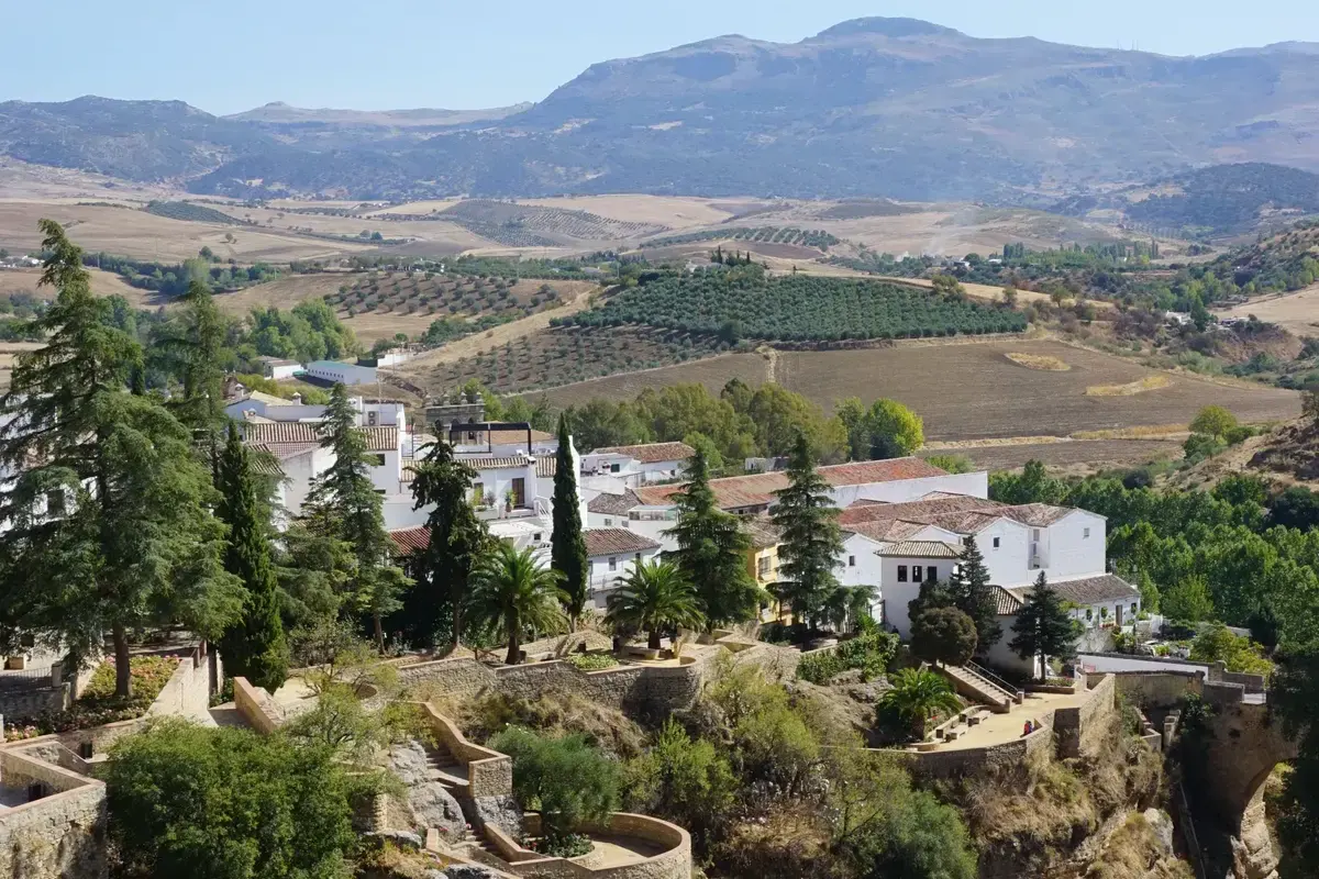 Rural Andalusian countryside with olive groves and mountains in the distance, illustrative image
