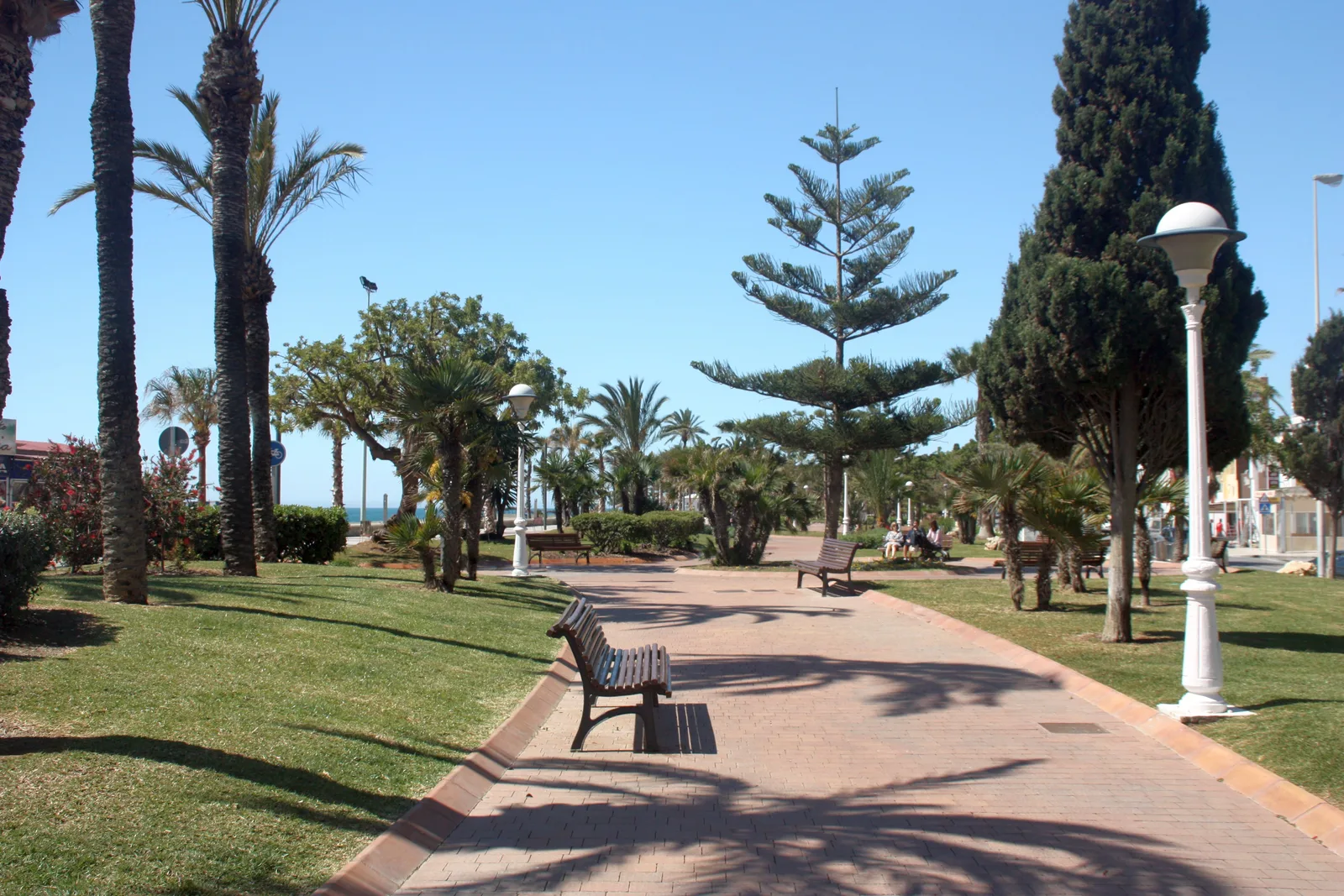 Tramo ajardinado del paseo marítimo de Torre del Mar, con palmeras, bancos y farolas